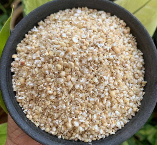 Broken Sorghum (Great Millet / Jowar)